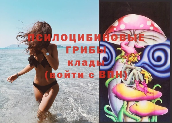 прущий лед Алексин