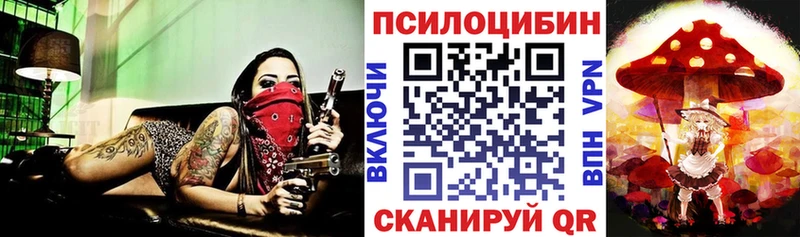 Псилоцибиновые грибы мицелий  купить закладку  ссылка на мегу tor  Ейск 
